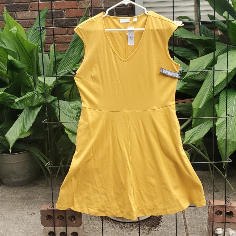 BNWT! NY&C Fit to Flare Dress